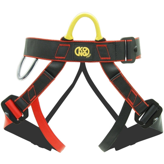 Standard harness