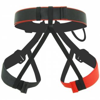 Standard harness